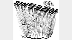 [월드컵 한마당]태극전사와 국민의 외침