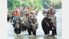 [여행]'월드컵 찬바람' 해외여행 대세일