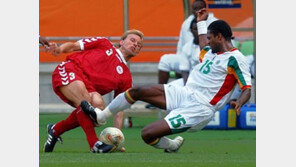 [2002월드컵]더위에 강한 아프리카 사자들