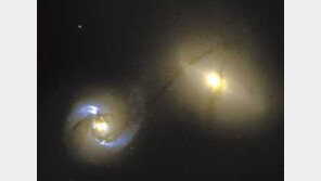 [인문사회]어둠 헤치고 새세계 열다 '창조자들'