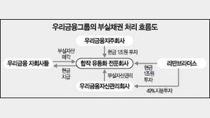 [금융]“은행 부실채권 ‘배드뱅크’ 로 해결”