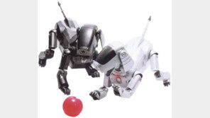 [인문사회]첨단-변혁의 시대를 읽는다 '지식의 최전선'