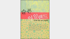 [인문사회]한국과 닮은 꼴 아일랜드 읽기 '슬픈 아일랜드'