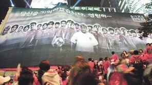 [2002월드컵 포토]“당신을 기억하겠습니다”