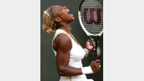 [테니스 포토]승리의 환호