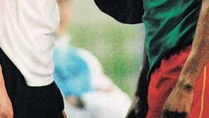 [인문사회]전쟁은 농축된 삶의 교과서  '아나바시스'