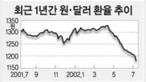 [금융]‘中 위안貨 약세’ 도 무섭다