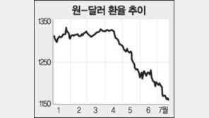 [금융]환율 하락 원인과 전망