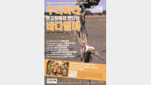 [실용기타]바다 정보 ‘빽빽’  ‘뻘 속에 숨었어요’ & ‘...바다별미’