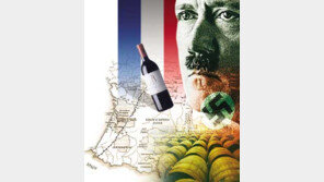 [인문사회]히틀러 손아귀에 와인만은 안된다 ´와인전쟁´