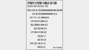 [금융]은행 대출금 음식 숙박업 등 10년새 최고 24배 늘어