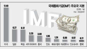 [금융]국제금융계선 '초라한 한국'