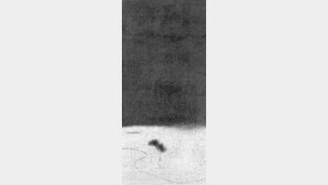 [이 시를 보내며]초의 의순 /'풀집노래'