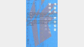 [인문사회]아도르노 재해석 ´계몽의 변증법을 넘어서´