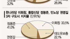 [여론조사 자료실]민주 통합신당 대선후보 선호도 鄭42.1%-盧29.5%