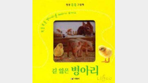 [새책 나왔네]'길 잃은 병아리' 외