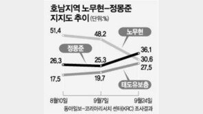 [여론조사/대선후보 지지도 ]＂盧-鄭 단일화 가능성있다＂18%