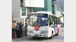 [GO! 주말시대]나른한 가을 오후 '미술관 순회버스' 타보자