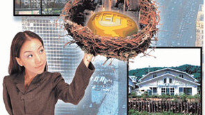 [금융]증시 급락해도 ＂우린 예외＂…리츠株 부상