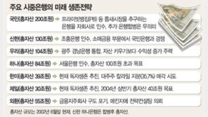 [금융]은행 판도 바뀐다…신한, 조흥은 정부지분 80% 매입