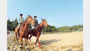 [스타일/승마이야기]여우같은 말 애인 다루듯