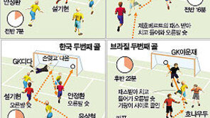 [대표팀/한·브라질 평가전]화끈한 플레이 추위도 녹였다