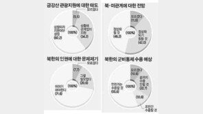 [여론조사]＂금강산관광 지속 지원＂ 34%