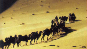 [인문사회]보물추적자