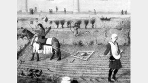 [인문사회]'서양의 장원제'