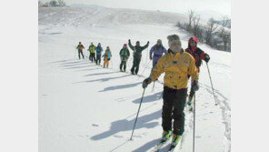 [스키]SKI …아무도 없는 산, 아무도 밟지 않은 눈위로…