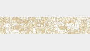 [어린이 책]'태양의 전사'/진정한 '승리의 길'