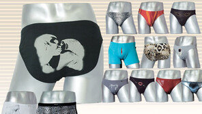 [스타일/언더웨어]섹시·화려·대담 물오른 남자 팬티