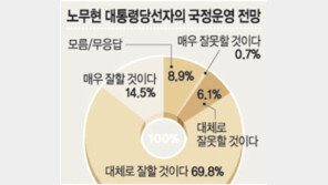 [여론조사/본보-코리아리서치]＂盧대통령 國政잘할것＂ 84%