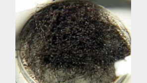 [TV하이라이트/20일]'순간포착 세상에 이런 일이' 외