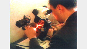 [TV하이라이트/26일]'수요기획'외