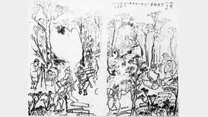 [인문사회]'하버드 대학 옌칭 도서관의 한국 고서들'