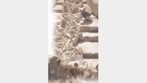 [인문사회]'고고학 탐정들'…어떻게 역사를 추리할까