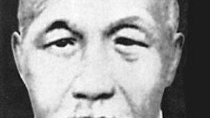 [인문사회]'중체서용의 경세가 증국번'