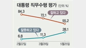 [여론조사/취임3개월]盧 지지도 16.9%P 하락