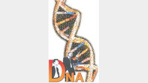 [자연과학]'DNA 생명의 비밀'…인류, 생명의 열쇠 손에 쥐다