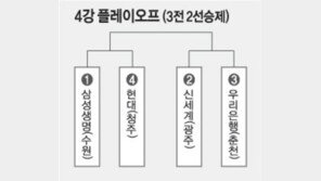 [여자농구]국민銀 ‘허무한 승리’…골득실 뒤져 PO행 좌절