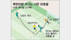 [프로축구]마그노 22골…프로축구 시즌 최다골 신기록