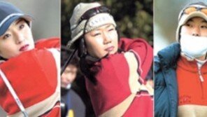 [골프]‘골프 한일전’한국 웃었다 … 여자프로대항전 2연패