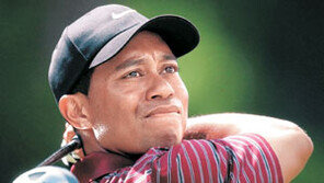 [골프]역시 우즈-소렌스탐…美 골프기자협회 ‘올해의 선수’ 선정