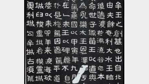 [인문사회]'고대로부터의 통신'…碑文에 천년역사 숨어있네