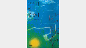 [청소년 책][문학예술]'보시니 참 좋았다'