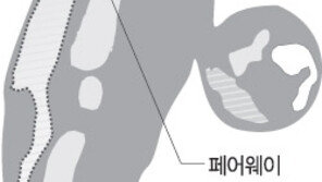 [골프]‘魔의 18번홀’…좁은  페어웨이-바람 77명이 보기이상