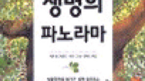 [독서교실][자연과학]그림으로 풀어내는 신비한 과학이야기