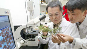 [메트로 라이프]산림과학원내 나무병원 상담원 김교수 박사