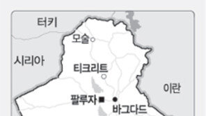 팔루자 "목숨 붙어 있을때까지 성전" 反美 함성